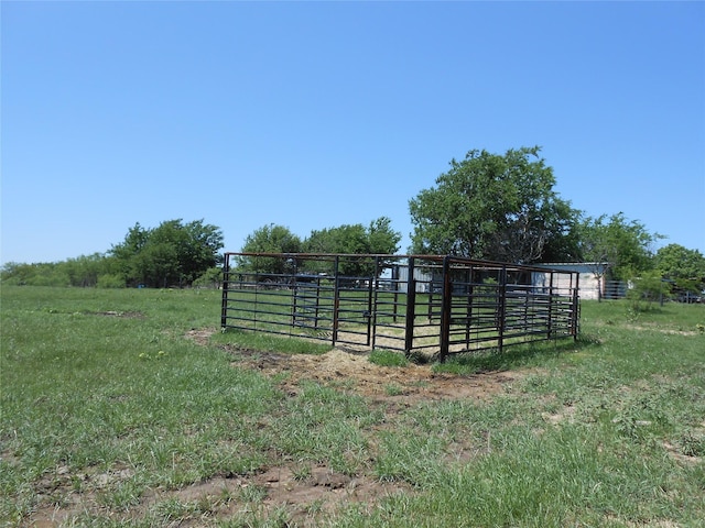 view of yard with a rural view