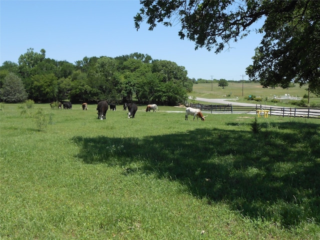 view of yard featuring fence and a rural view