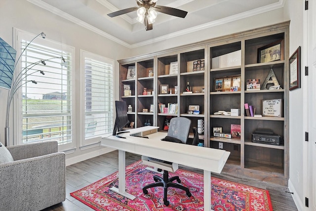 office area with crown molding, a raised ceiling, ceiling fan, and wood finished floors