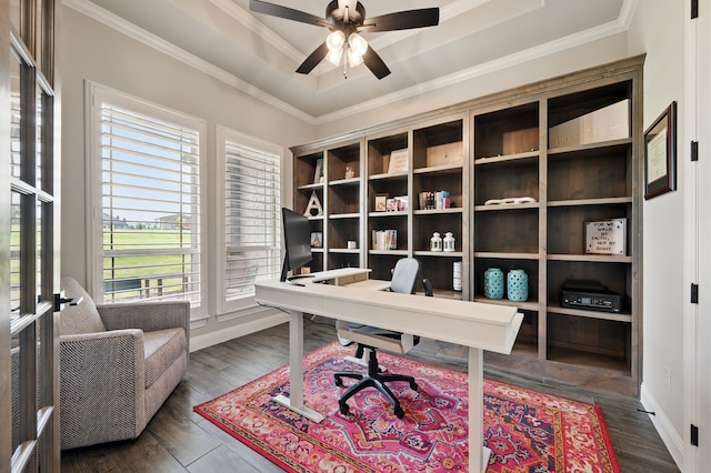 317 Wayward Spur, Springtown, TX 76082 - office featuring a ceiling fan, ornamental molding, a raised ceiling, wood finished floors, and baseboards