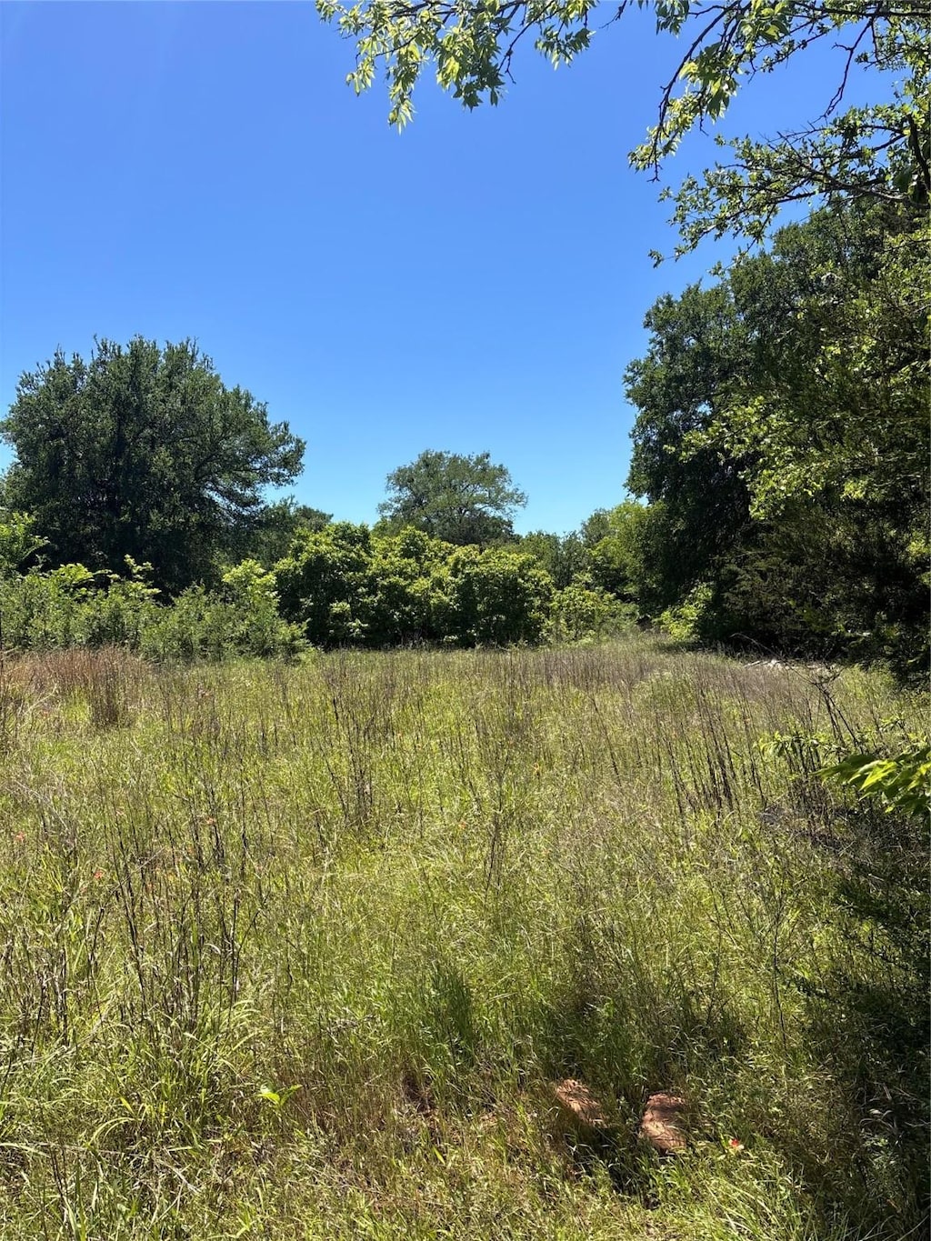287 Retta Rd, Mansfield, TX 76063