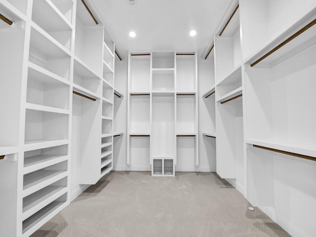 spacious closet with carpet