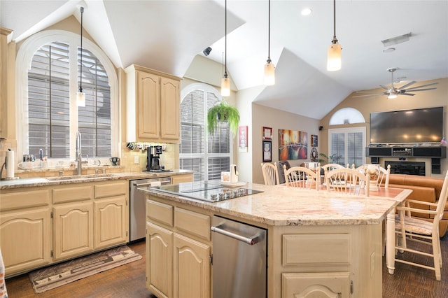 kitchen with plenty of natural light, dark wood-style flooring, stainless steel dishwasher, a sink, and lofted ceiling