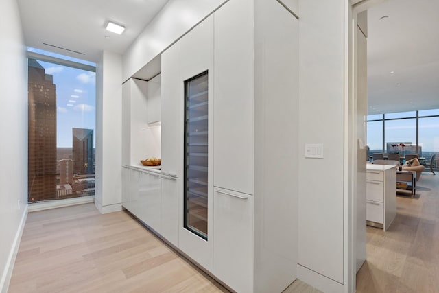 corridor featuring floor to ceiling windows and light wood-type flooring