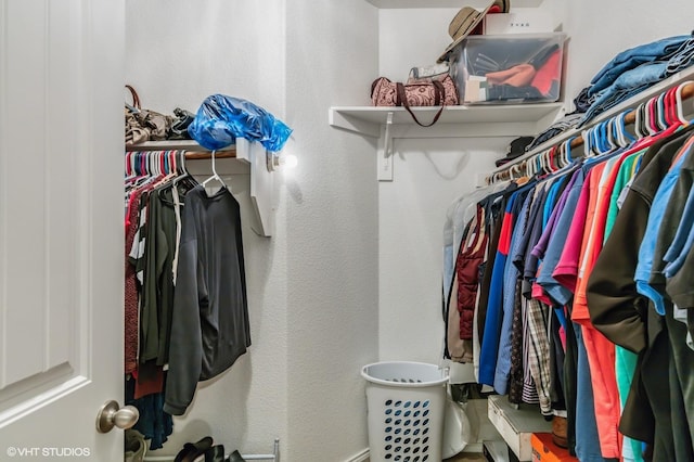view of spacious closet