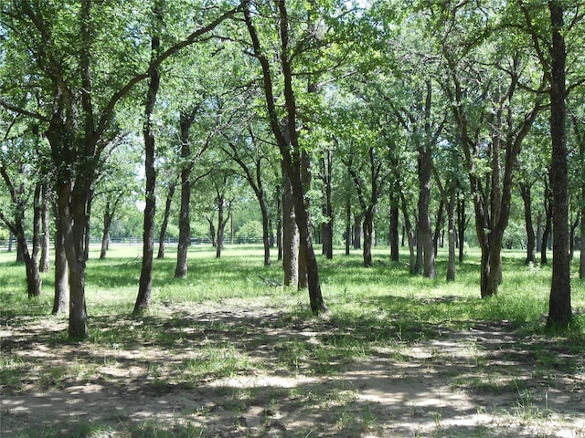 TBD 1326, Bridgeport, TX 76426