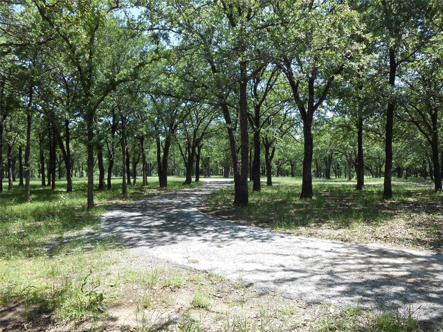 TBD 1326, Bridgeport, TX 76426