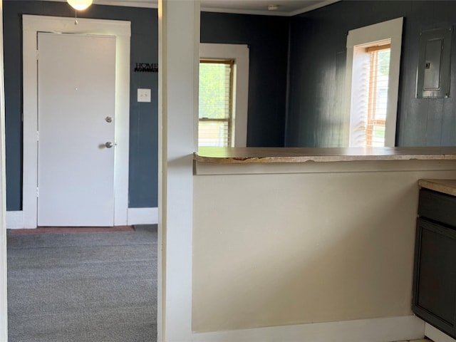 kitchen with baseboards, carpet flooring, electric panel, and a healthy amount of sunlight