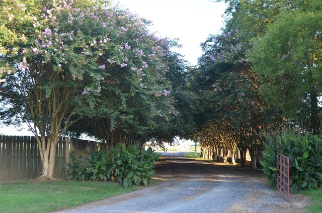 1860 Leonard Rd, Shreveport, LA 71115 - view of road