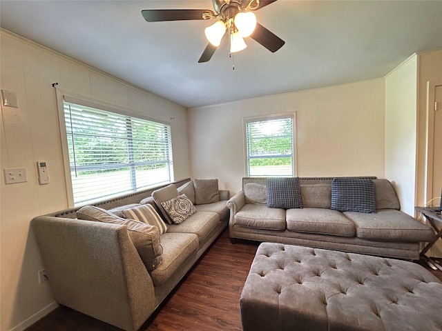 living room featuring ceiling fan and dark wood-style floors