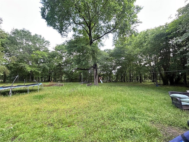 view of yard with a trampoline