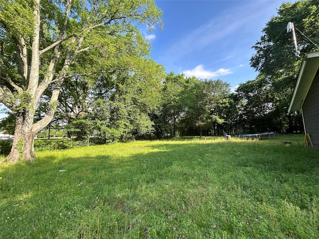 view of yard featuring a trampoline