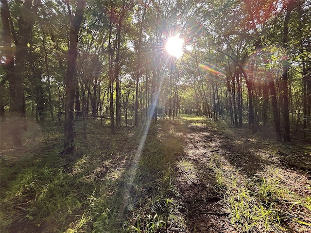 view of nature featuring a view of trees
