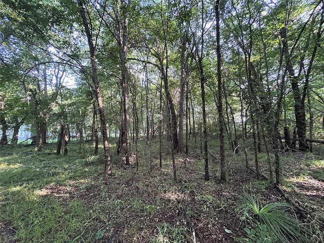 view of nature