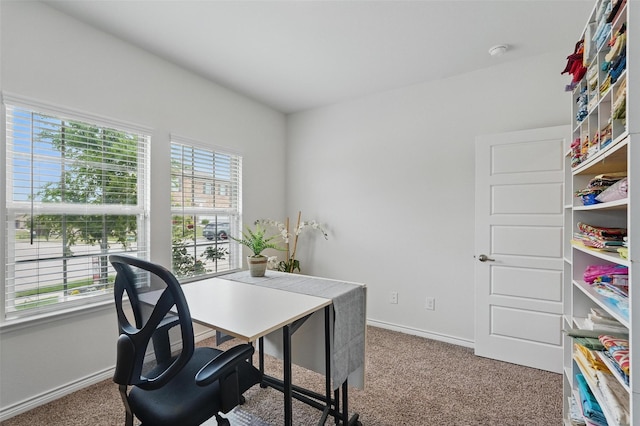 901 Cherry Blossom St, Anna, TX 75409 - carpeted office space with baseboards
