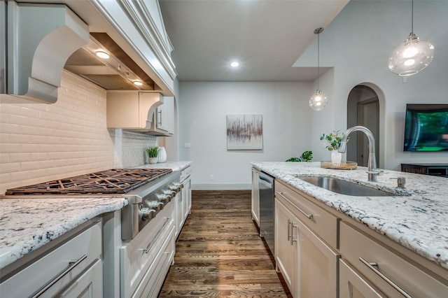 kitchen featuring a sink, premium range hood, stainless steel appliances, tasteful backsplash, and dark wood-style floors