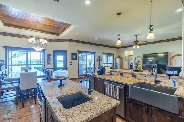 kitchen with light wood-style floors, a sink, a tray ceiling, and stainless steel appliances