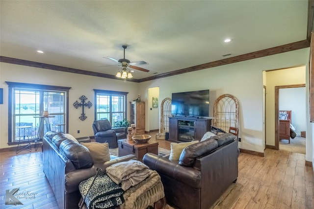 living area featuring a ceiling fan, ornamental molding, and light wood-type flooring