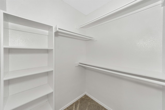 spacious closet featuring dark carpet