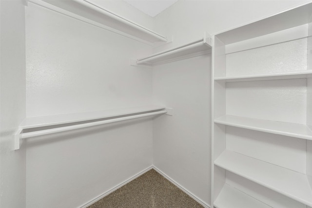 spacious closet with carpet flooring