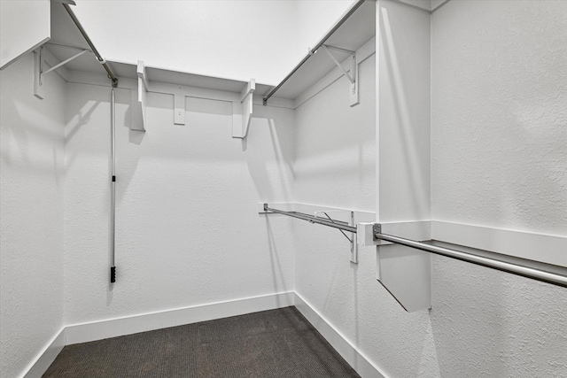 walk in closet with dark carpet