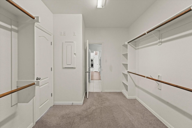 1617 Beauregard Point Dr, Wylie, TX 75098 - walk in closet with carpet