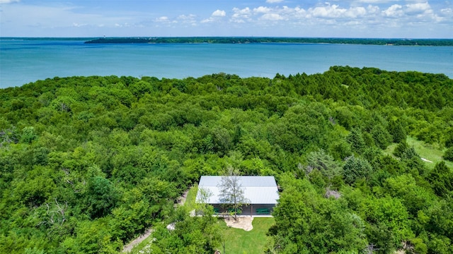 1617 Beauregard Point Dr, Wylie, TX 75098 - bird's eye view featuring a water view and a view of trees