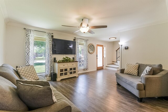 foyer with stairs, baseboards, ornamental molding, and dark wood-type flooring