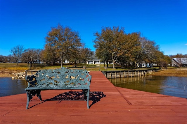 dock area with a water view