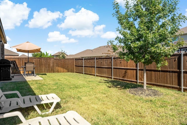 view of yard with a patio and a fenced backyard