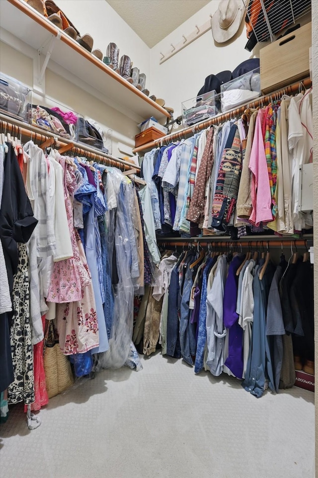 8926 White Pine Ln, Dallas, TX 75238 - spacious closet with carpet floors