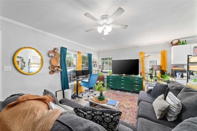 2612 1st St, Brownwood, TX 76801 - living room with healthy amount of natural light, crown molding, wood finished floors, and a ceiling fan