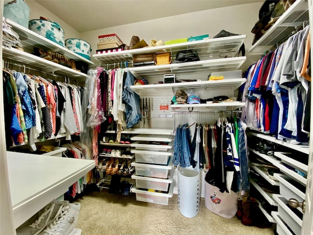 1306 Andrew Ct, Lewisville, TX 75056 - spacious closet with carpet floors