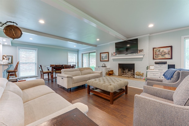 living area with crown molding, dark wood-style floors, and a healthy amount of sunlight