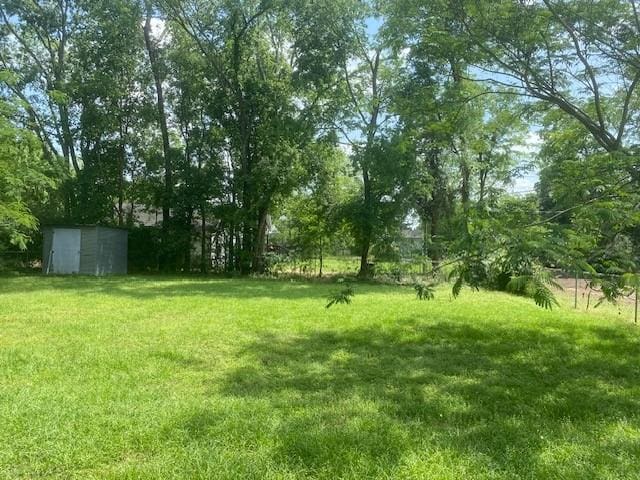 view of yard featuring a storage shed and an outdoor structure
