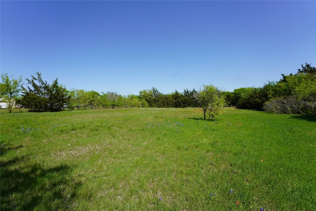 view of yard with a rural view