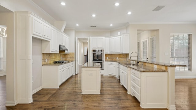 708 Renaissance Ct, Keller, TX 76248 - kitchen featuring a peninsula, a sink, stainless steel appliances, crown molding, and under cabinet range hood