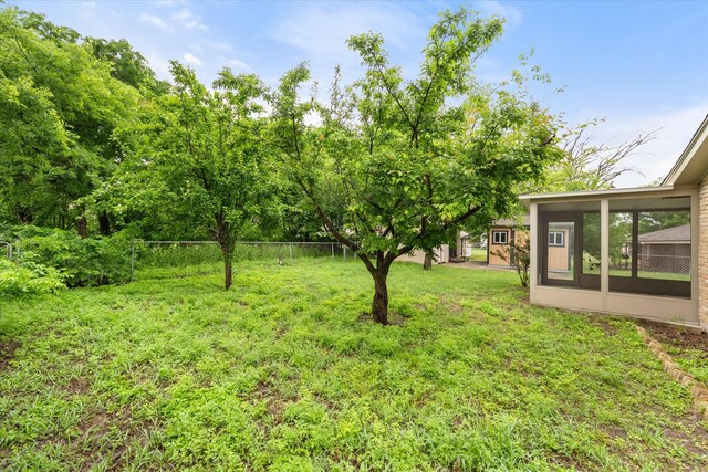 806 Marigold Dr, Cedar Hill, TX 75104 - view of yard featuring fence, an outdoor structure, a sunroom, and a shed