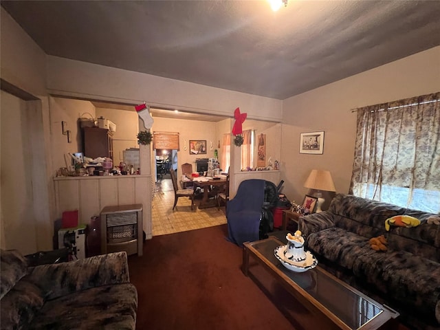 living room featuring dark colored carpet