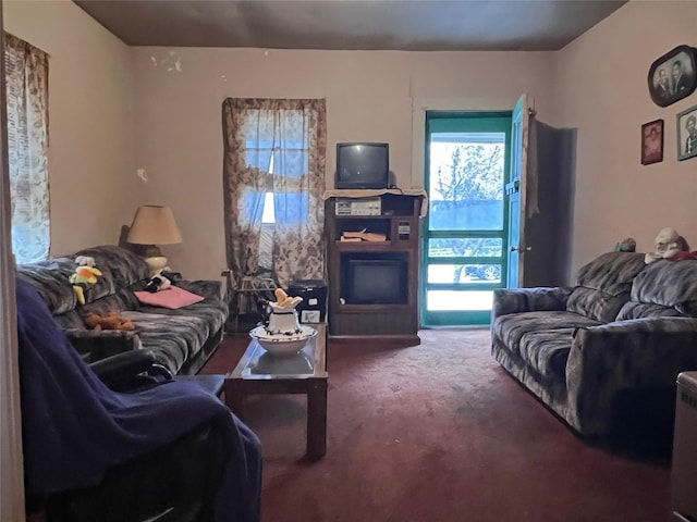 living room with carpet