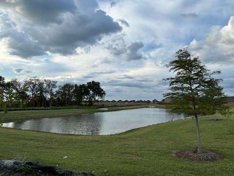 1109 Colonial Bluff Ln, Princeton, TX 75407 - property view of water