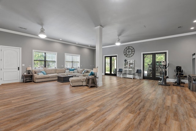 living room with french doors, crown molding, and plenty of natural light