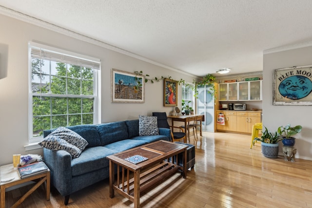 living room featuring crown molding, a textured ceiling, and light wood-style flooring