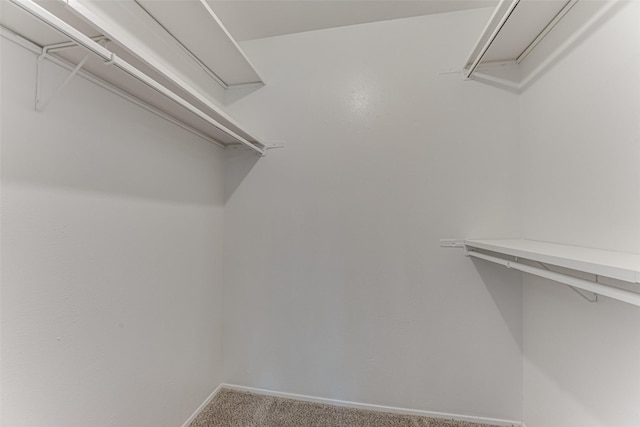 spacious closet with carpet floors
