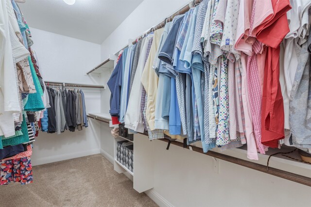 spacious closet with carpet