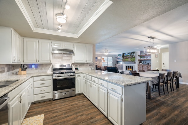 1600 Skyview Dr, Irving, TX 75060 - kitchen featuring a peninsula, a warm lit fireplace, dark wood-style floors, under cabinet range hood, and appliances with stainless steel finishes