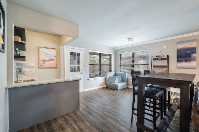 1600 Skyview Dr, Irving, TX 75060 - dining room featuring baseboards, ornamental molding, dark wood-type flooring, and bar area