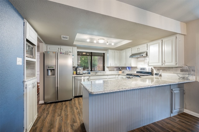 1600 Skyview Dr, Irving, TX 75060 - kitchen featuring a tray ceiling, dark wood-style flooring, appliances with stainless steel finishes, a peninsula, and under cabinet range hood
