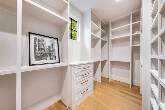 walk in closet with light wood-style floors
