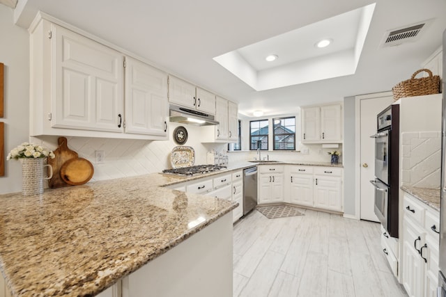 kitchen with light stone countertops, appliances with stainless steel finishes, a sink, under cabinet range hood, and visible vents